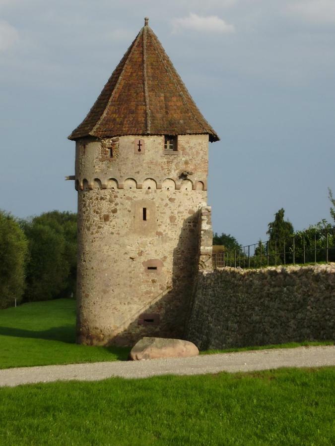 Gite La Maison Bleue Bergheim Exterior photo